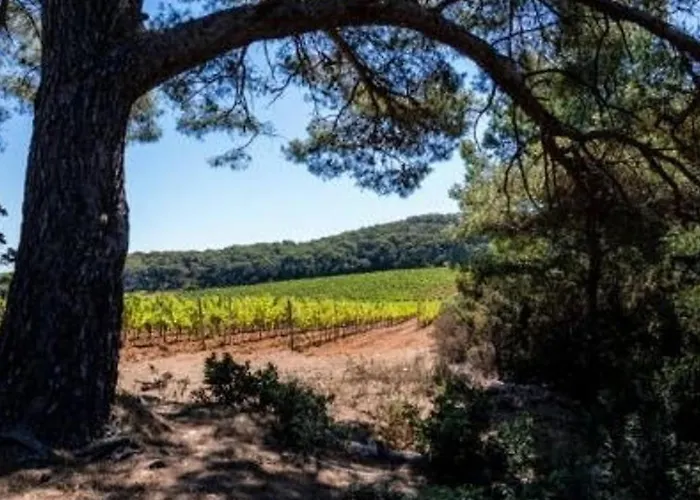 Au Bord De L'eau Avec Terrasse Et Menage Inclus - Fr-1-251-307 Daire