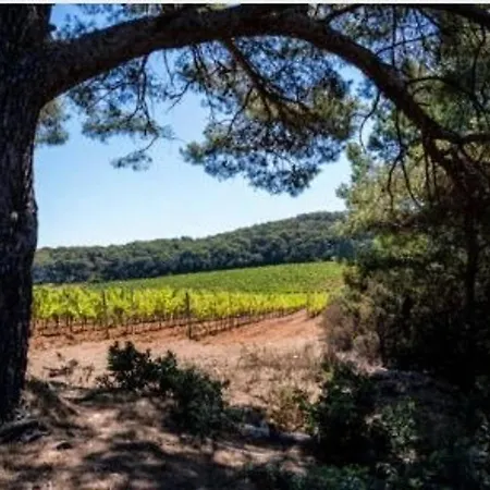 Au Bord De L'eau Avec Terrasse Et Menage Inclus - Fr-1-251-307 アパート